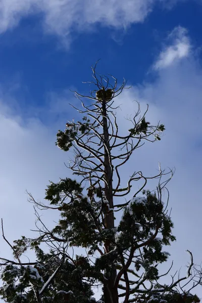 DSC_0765 (Large).JPG